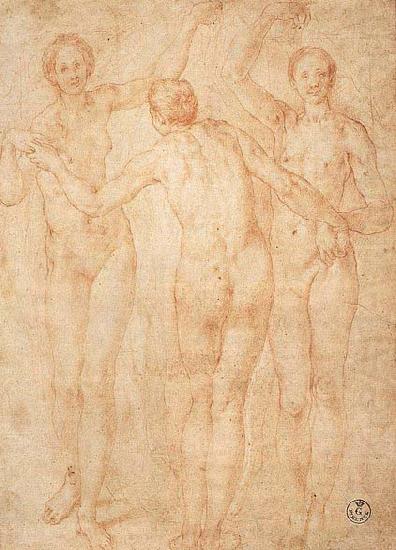 Jacopo Pontormo Three Graces china oil painting image